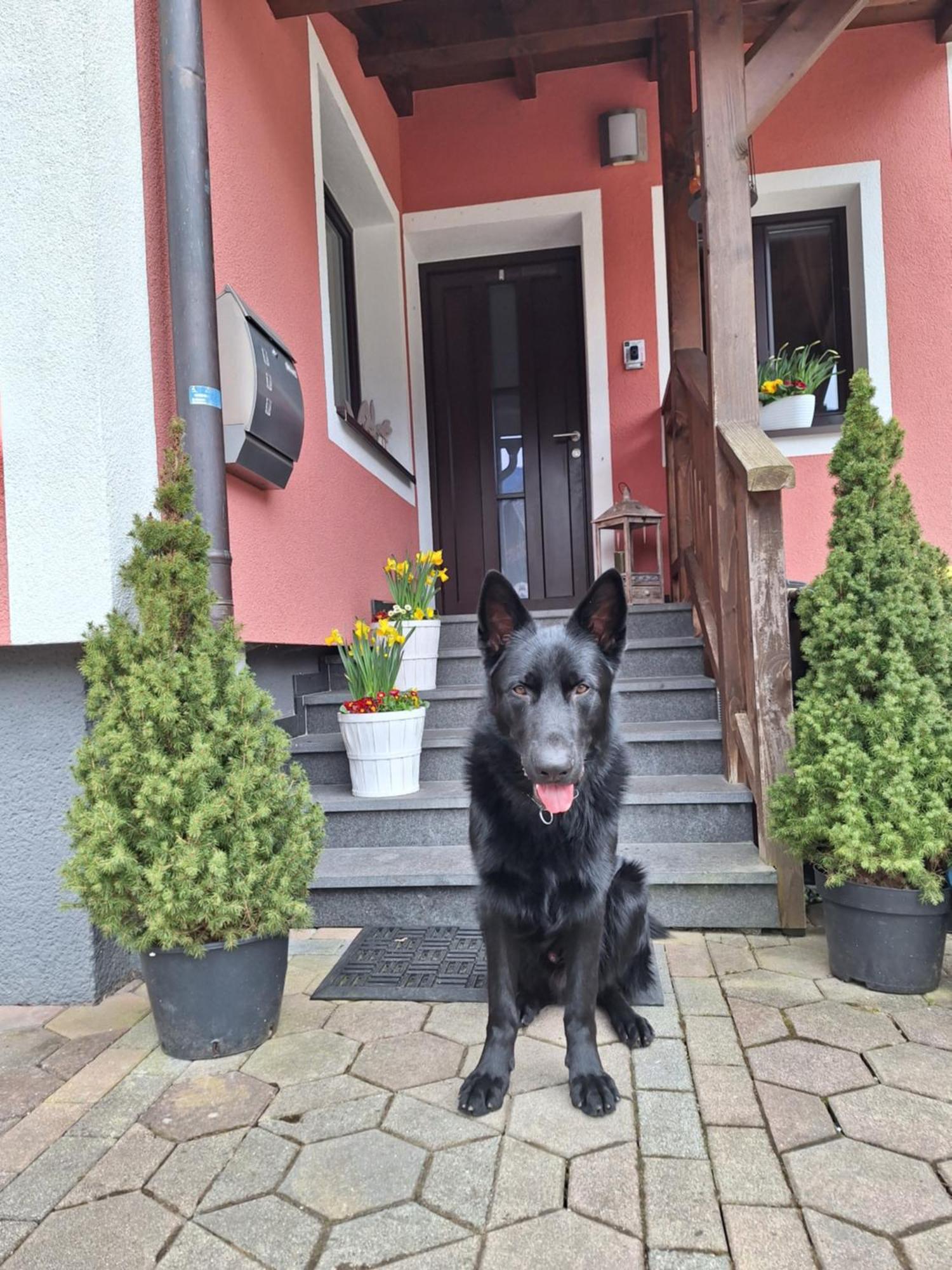 Haus Hoell Herta Hallstatt Eksteriør bilde